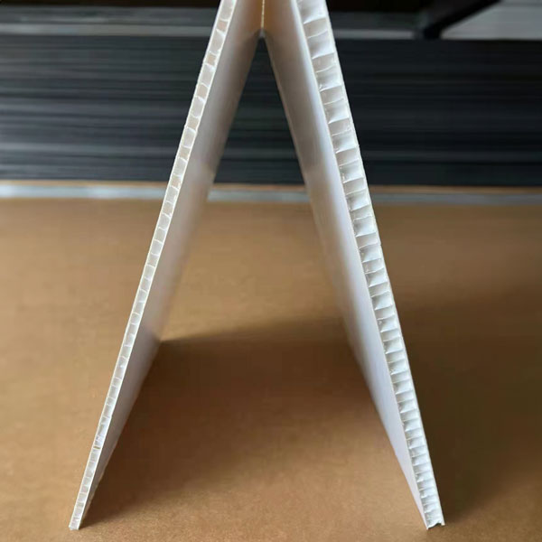 蜂巢紙畫板 Honeycomb Board